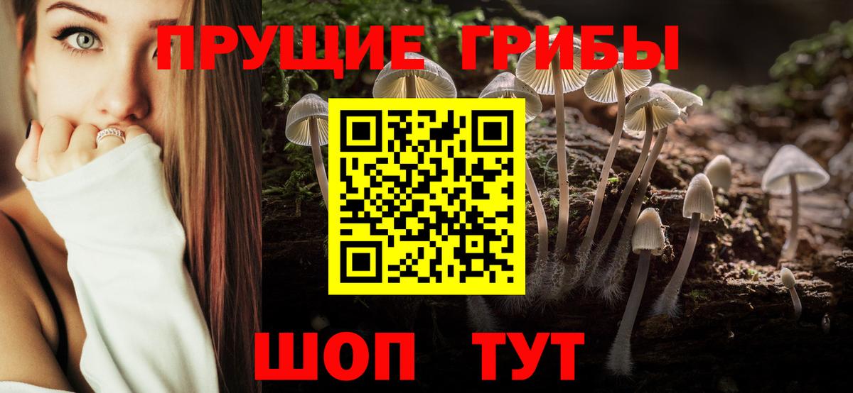 Донской  Псилоцибиновые грибы мицелий  что такое   Вход с VPN 