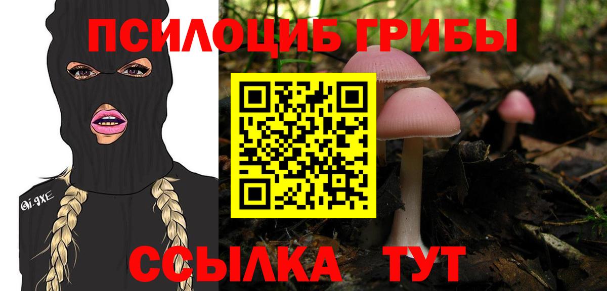 Галлюциногенные грибы Cubensis Донской